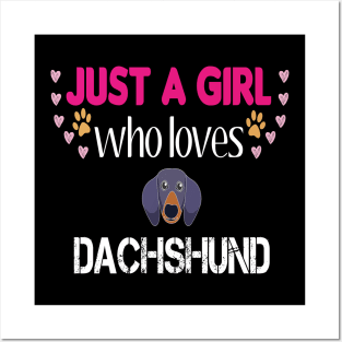 Just a Girl Who Loves Dachshunds Posters and Art